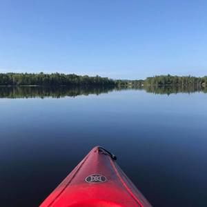 Meet your Posher, Cathy